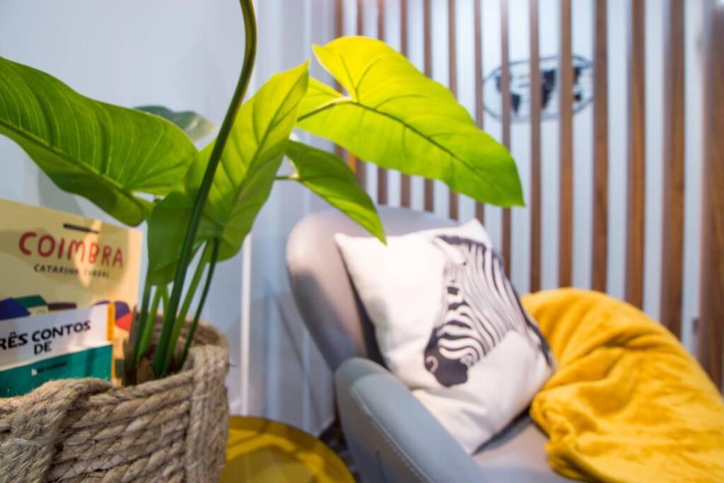 Modern Apartment In Coimbra City Center 외부 사진